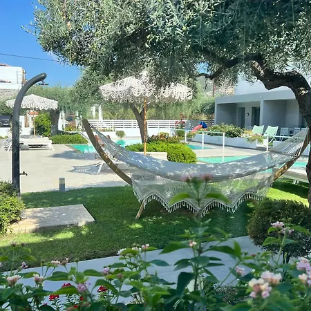 Thassos Olivia * פוטוס