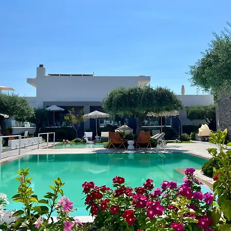 Thassos Olivia * Ποτός