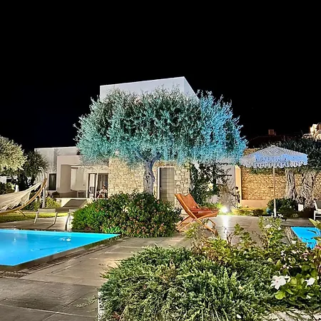 Thassos Olivia * פוטוס