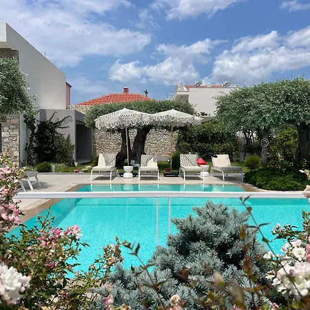 Thassos Olivia בית נופש *