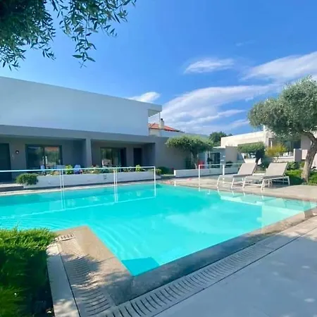 Thassos Olivia * פוטוס