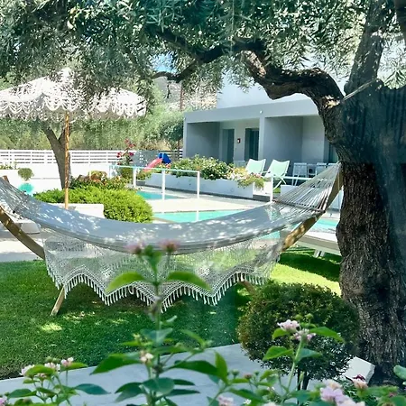 Thassos Olivia פוטוס