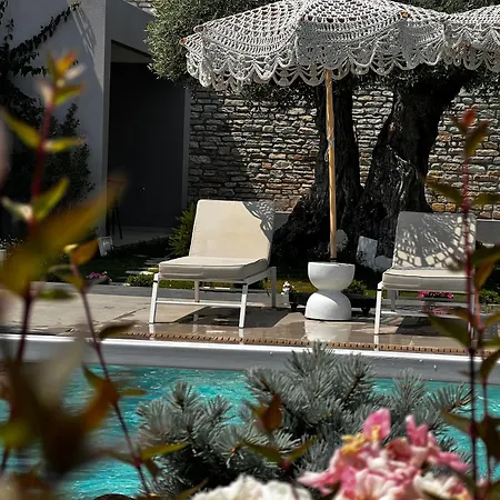 בית נופש Thassos Olivia *