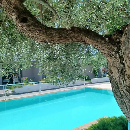 בית נופש Thassos Olivia *