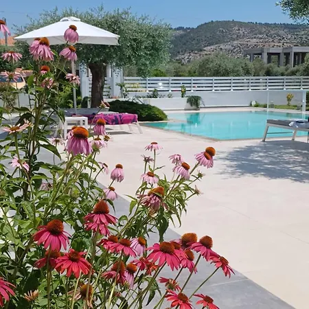 Thassos Olivia בית נופש פוטוס