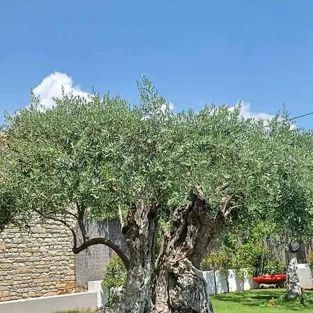 בית נופש Thassos Olivia *