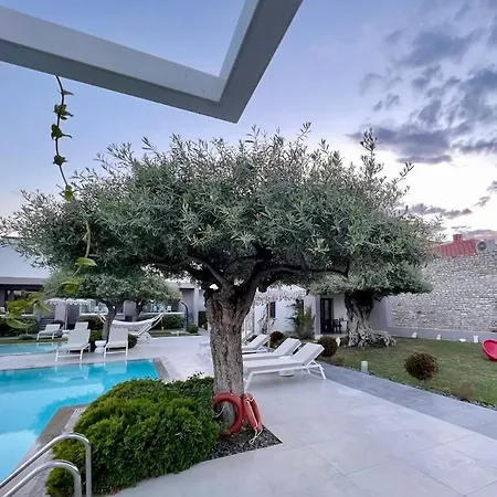 Thassos Olivia בית נופש *