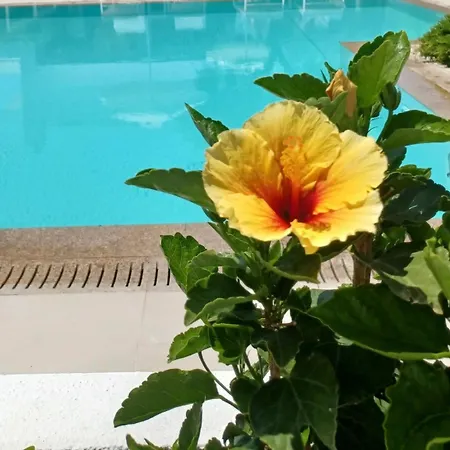 בית נופש Thassos Olivia *