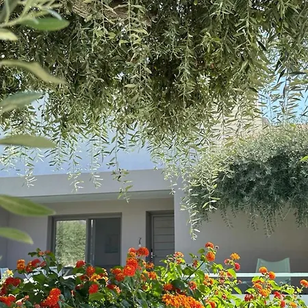 Thassos Olivia בית נופש *