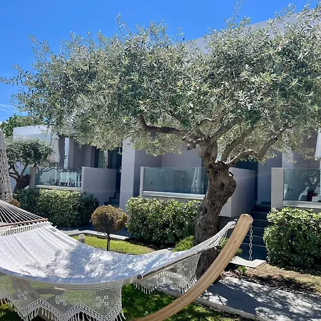 Thassos Olivia * פוטוס