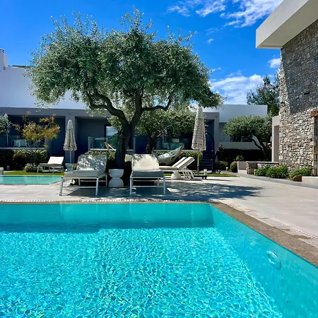 Thassos Olivia בית נופש *