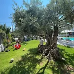 Thassos Olivia בית נופש פוטוס