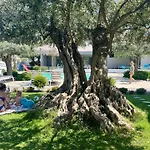 Thassos Olivia * بوتوس