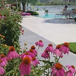 Thassos Olivia *