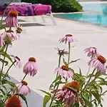 Thassos Olivia Hébergement de vacances Potos
