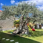 بيت للعطل Thassos Olivia