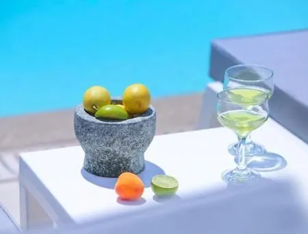 Thassos Olivia Дом отдыха *