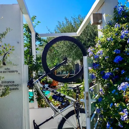 Nyaraló Thassos Olivia