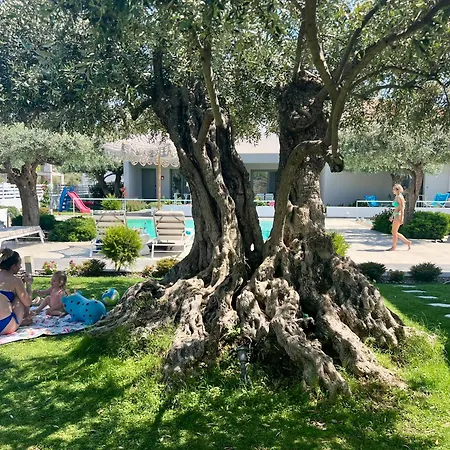 Thassos Olivia * بوتوس