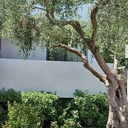 Nyaraló Thassos Olivia Potósz