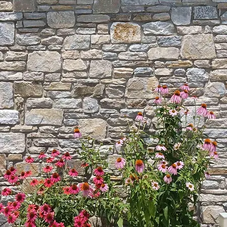 Nyaraló Thassos Olivia *