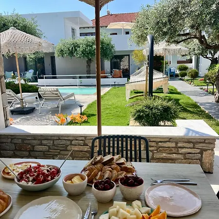 Thassos Olivia بيت للعطل *