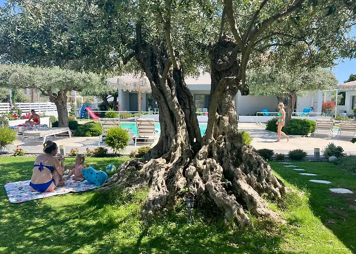 Thassos Olivia * Потос
