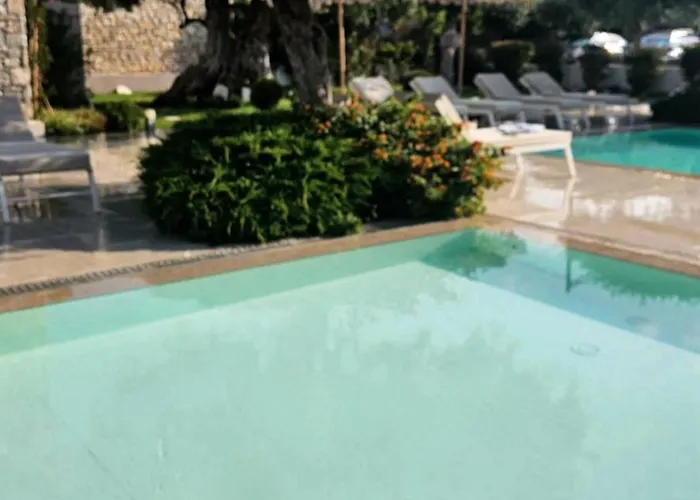 Thassos Olivia