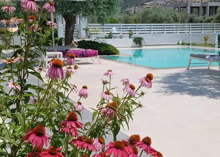Thassos Olivia Дом отдыха Потос